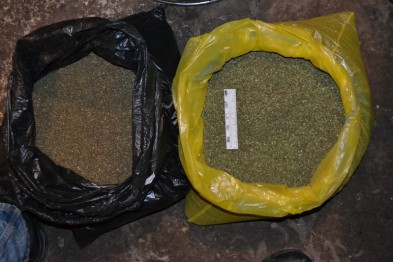 Полицейские изъяли у белгородца 26 килограммов марихуаны