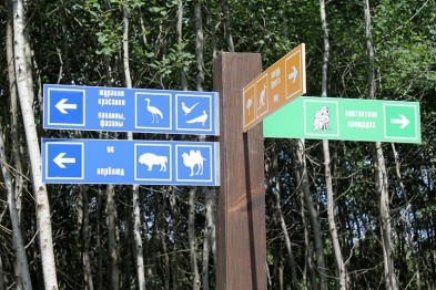 В Белгородском зоопарке поселились розовые фламинго