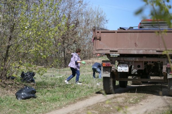 Активные горожане убрали от мусора посадку на Щорса