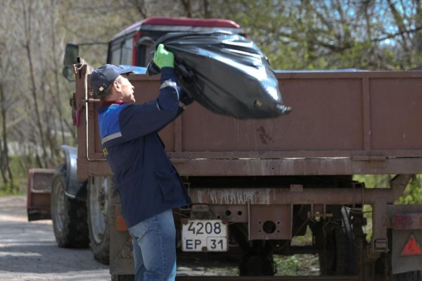 Активные горожане убрали от мусора посадку на Щорса