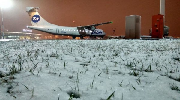 Так себе апрель. Белгородцы обрадовались выпавшему снегу: фотографии из соцсетей