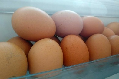 В Белгородской области уничтожат партию яиц из Украины