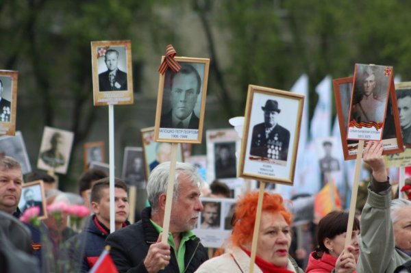 В «Бессмертном полку» прошли 70 тысяч белгородцев — фоторепортаж