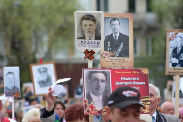 В «Бессмертном полку» прошли 70 тысяч белгородцев — фоторепортаж